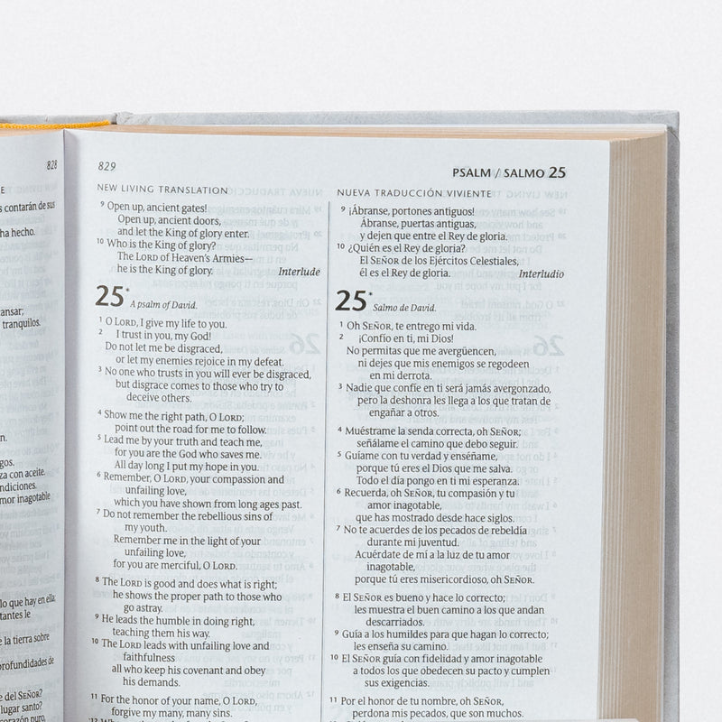 Biblia Biligüe NLT/ NTV, tapa rústica