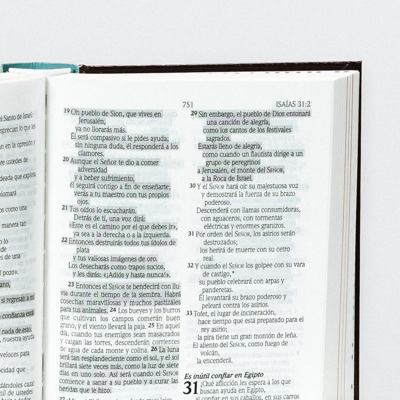 Biblia de promesas para niños, tapa dura, NTV