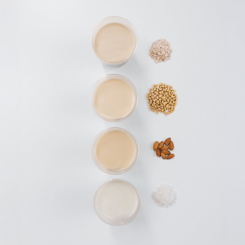 Té Chai Frío -12 Onz