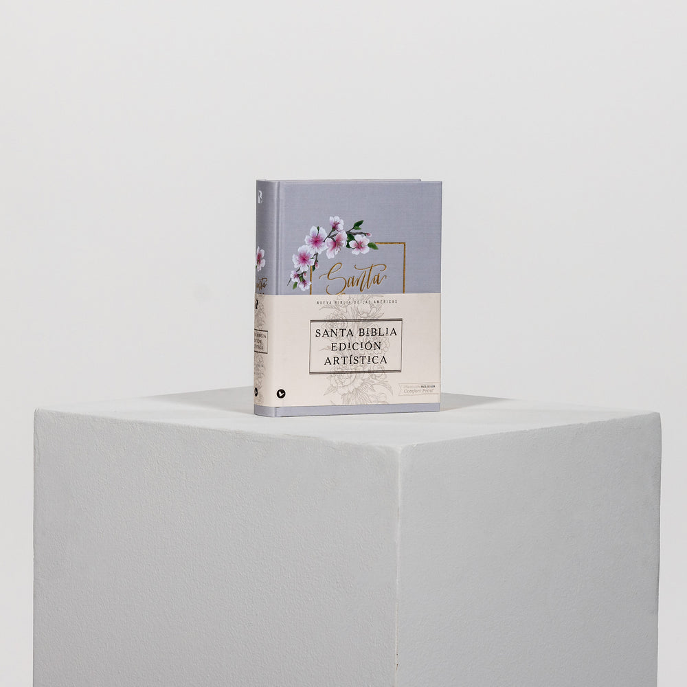 Santa Biblia edición artística, tapa dura, gris