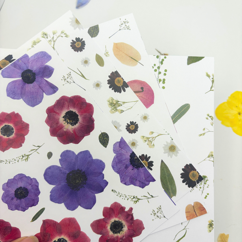 Pack Papel Estampado