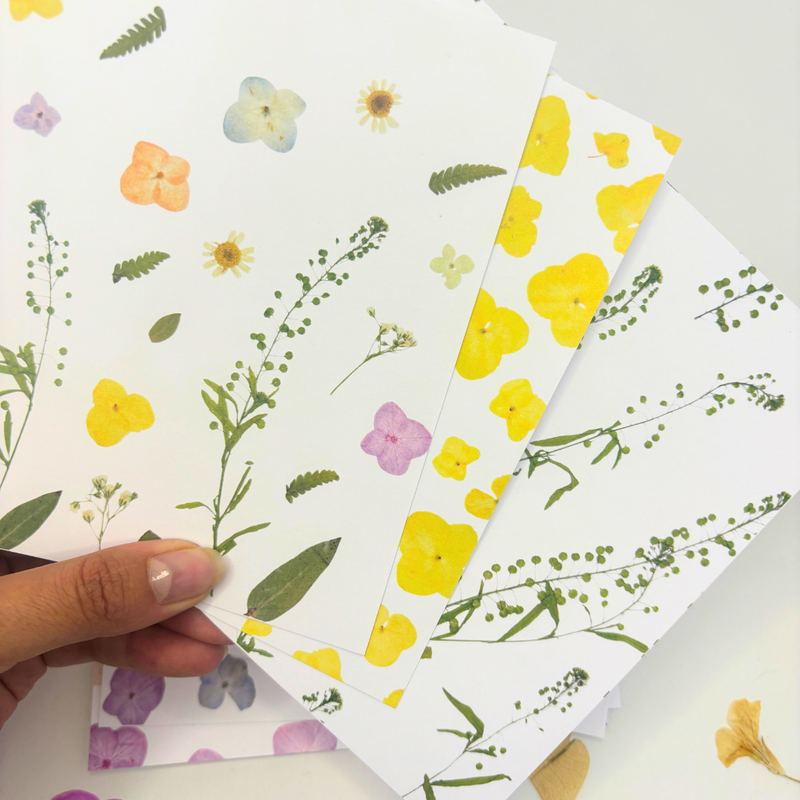 Pack Papel Estampado