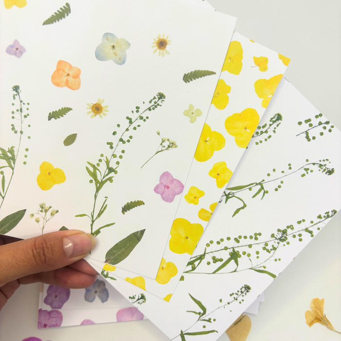 Pack Papel Estampado