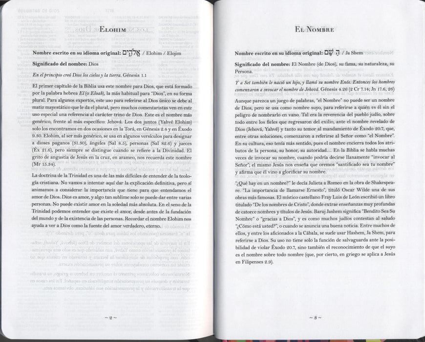 Biblia  letra grande, tamaño manual, tapa dura León de Juda arcoíris- RVR1960