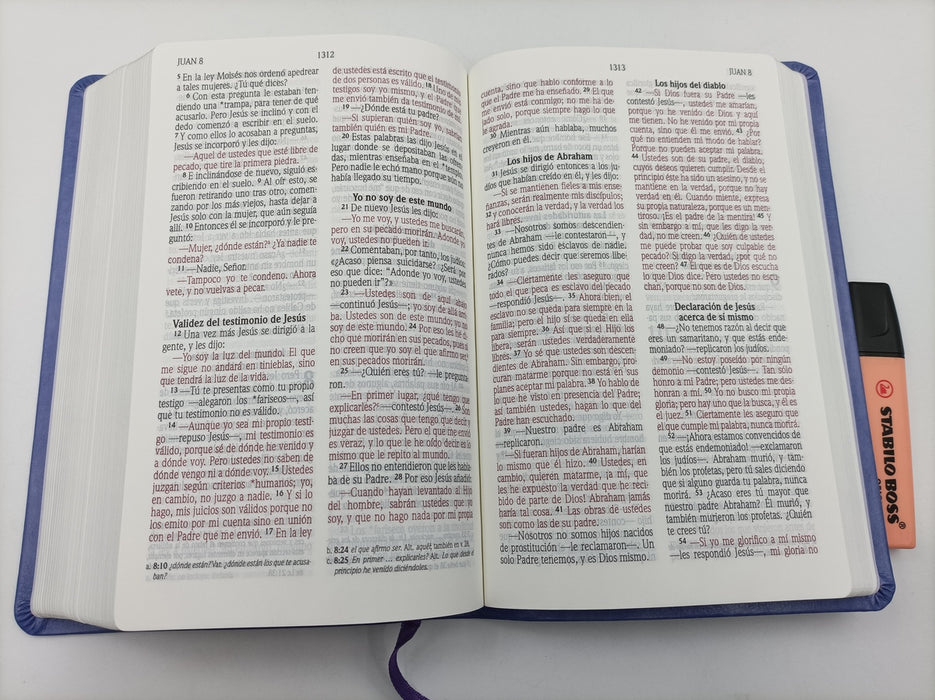 Santa Biblia, compacta letra grande - NVI