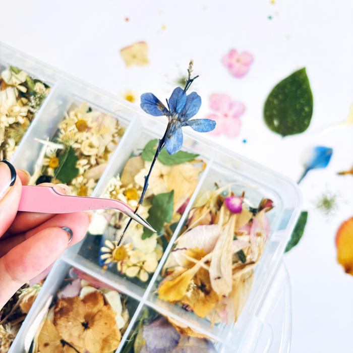 Pack Flores Prensadas