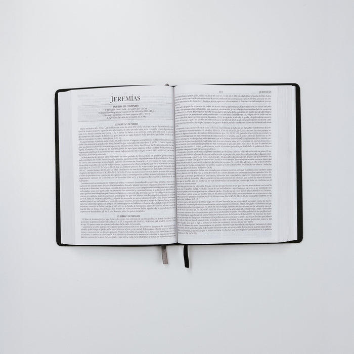 Biblia de Estudio Berea- Edición Gris