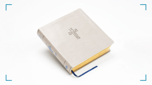 Biblia QR principios para vivir, arena - NTV