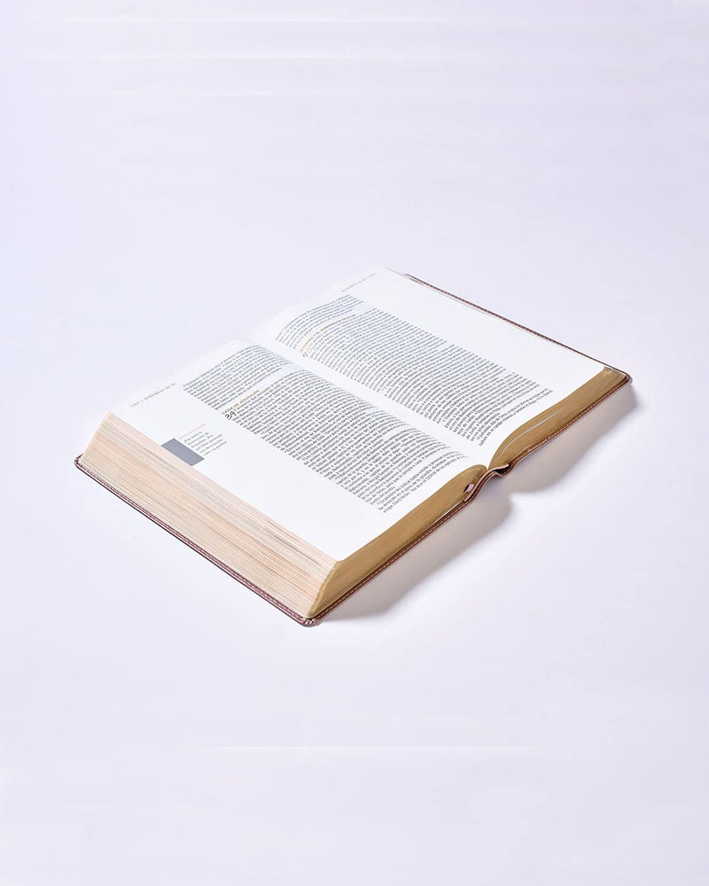 Biblia ama a Dios grandemente oro rosa - NBLA