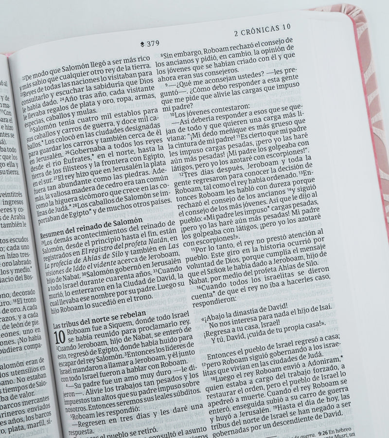 Biblia valor prémium, letra grande con Filament, SentiPiel Rosa - NTV