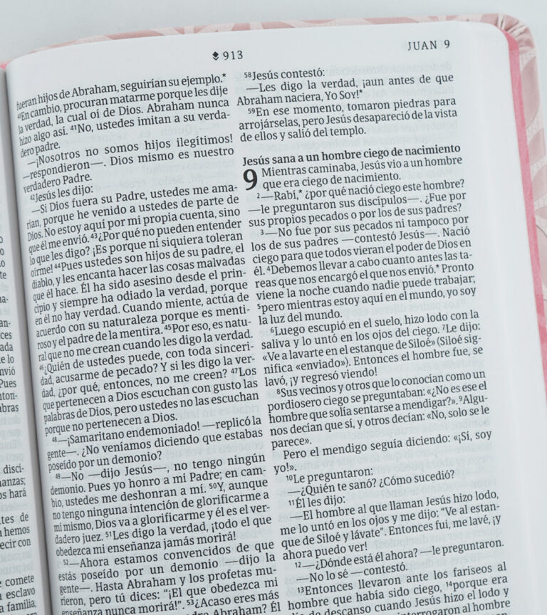Biblia valor prémium, letra grande con Filament, SentiPiel Rosa - NTV