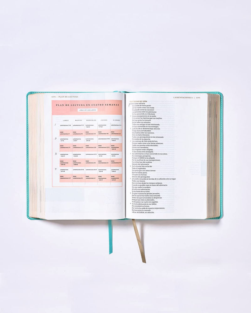 Biblia ama a Dios grandemente turquesa- NBLA