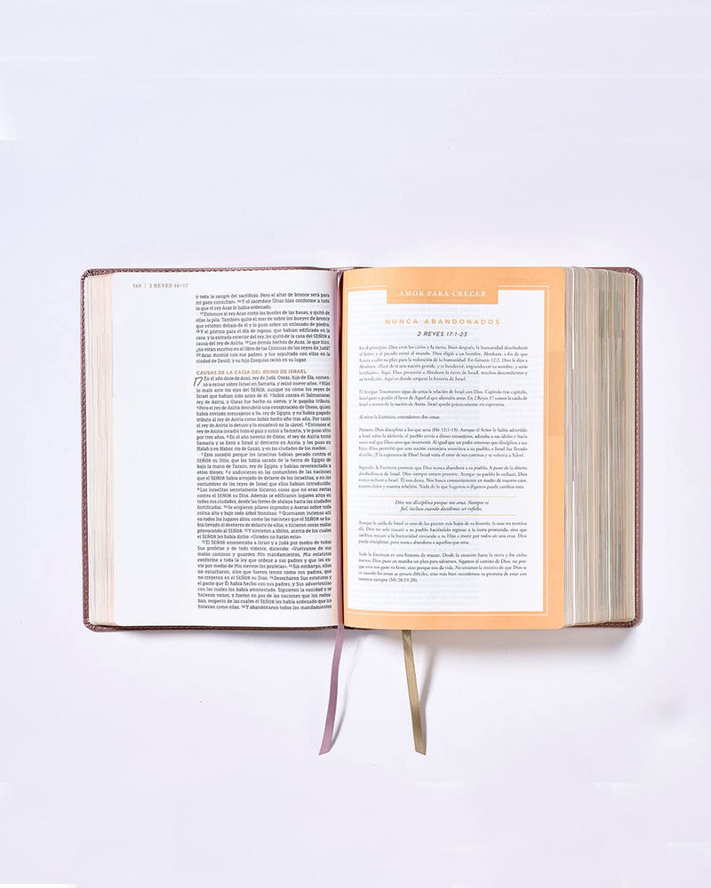 Biblia ama a Dios grandemente oro rosa - NBLA