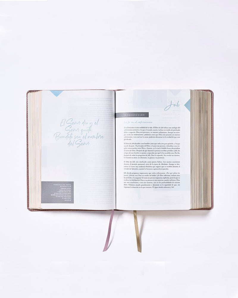 Biblia ama a Dios grandemente oro rosa - NBLA