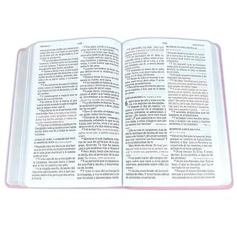 Biblia letra grande, personalizada rosado - RVR 1960