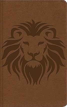 Biblia visual de estudio para niños, NBLA