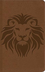 Biblia visual de estudio para niños, NBLA