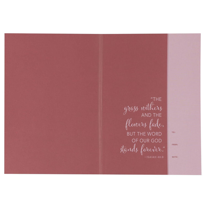 Biblia Devocional diaria para mujeres, color rosa, NLT