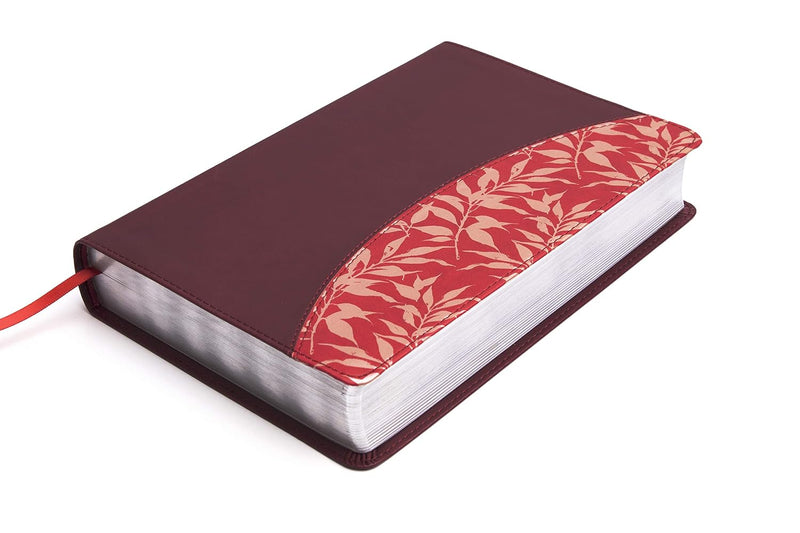 Biblia de estudio para la mujer vinotinto/ fucsia - RVR 1960