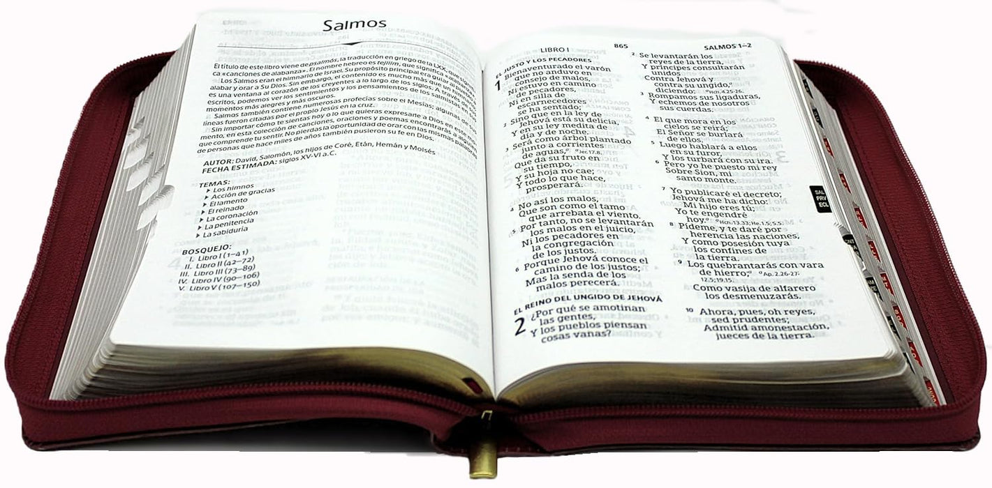 Biblia para mujeres,lLetra gigante tamano manual con Cierre e Índice - RVR 1960