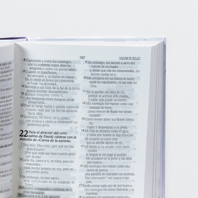 Biblia de Promesas para niñas, tapa dura- NTV