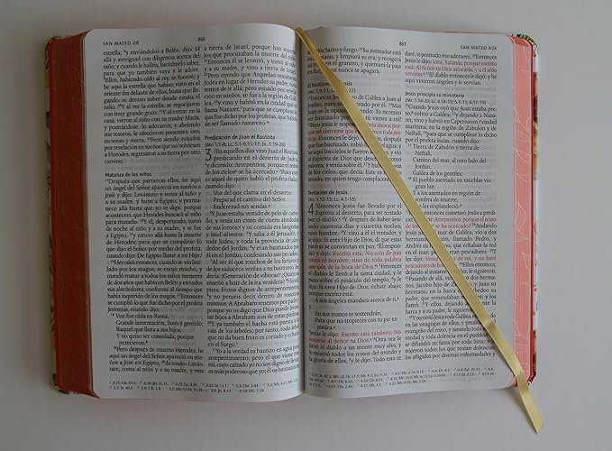 Biblia letra grande tamaño manual, flores rosadas y cantos pintados -  RVR 1960