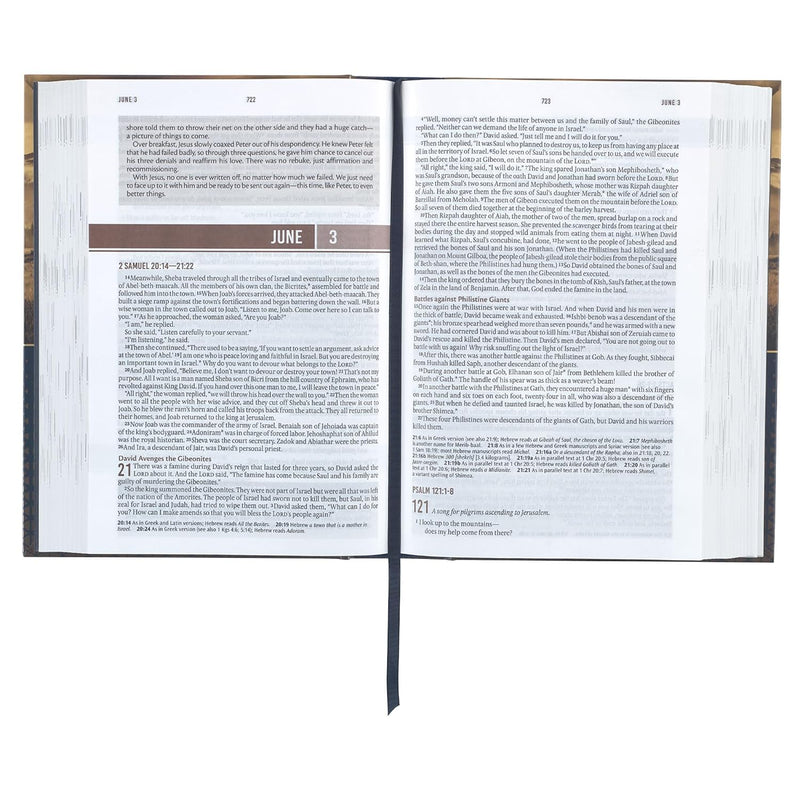 Biblia en Inglés Devocional Diaria para Hombres NLT – Tapa Dura Azul y Dorado