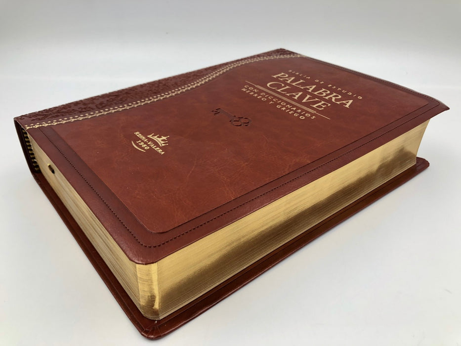 Biblia  de estudio palabra clave - RVR 1960