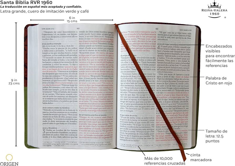 Santa RVR 1960 - Letra grande - Tapa dura negra con imágenes de Tierra Santa