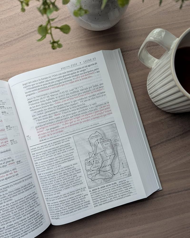 Biblia de estudio del diario vivir, letra grande, tapa dura - NTV
