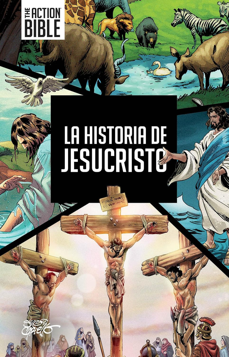 Pack de 25 libros,  La Historia de Jesucristo