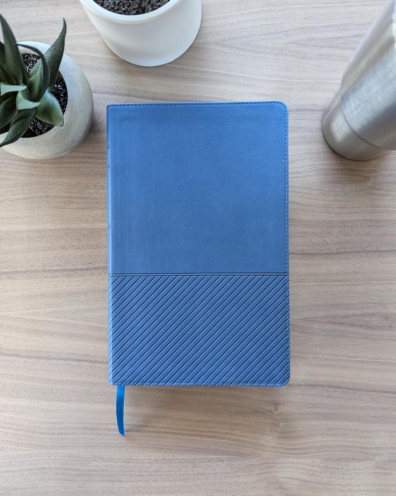 Biblia de estudio del diario vivir para jóvenes con Filament - NTV