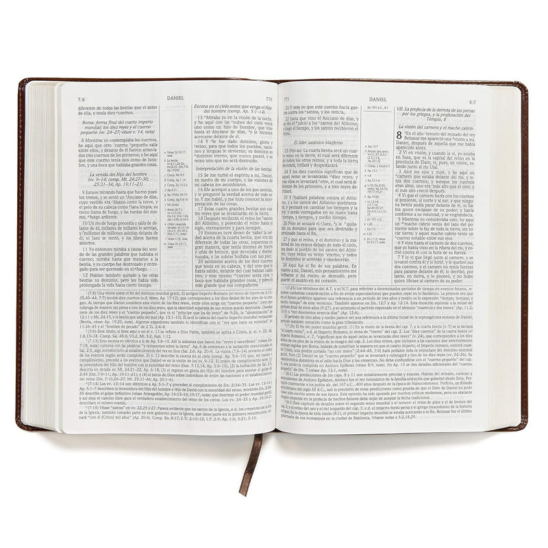Biblia de estudio Scofield tamano personal, chocolate oscuro símil piel, RVR 1960