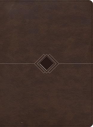 Biblia cronológica día por día marrón símil piel- RVR 1960