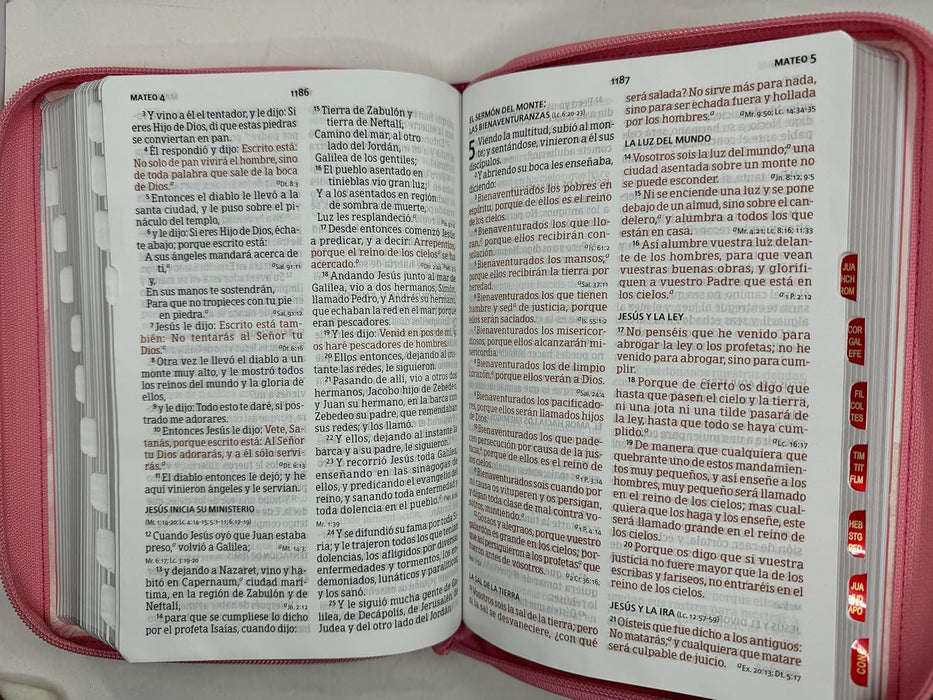 Biblia Letra Grande Tamano Manual Acuarela con Cierre e Indice- RVR 1960