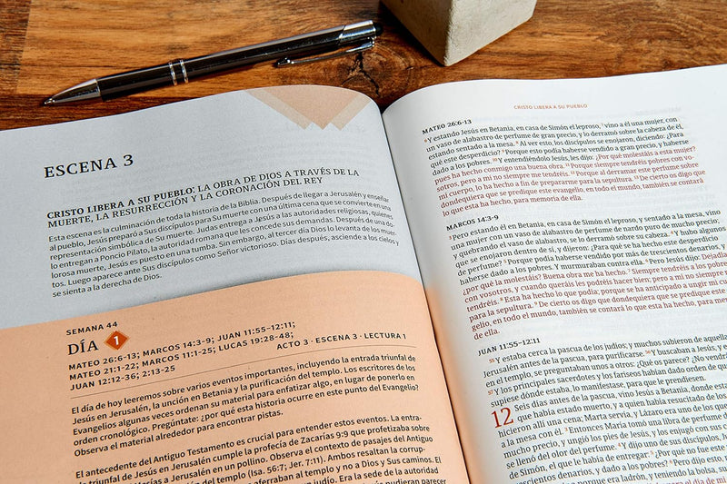 Biblia cronológica día por día marrón símil piel- RVR 1960