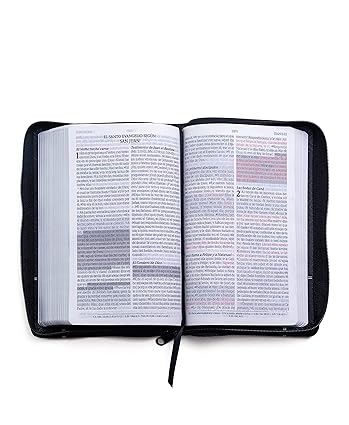 SANTA BIBLIA DE PROMESAS, LETRA GRANDE, COLOR NEGRA, RVR 1960