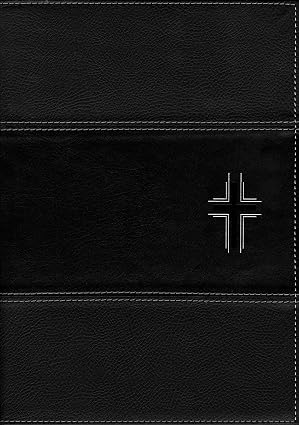 Biblia de estudio del diario vivir NTV, letra grande (SentiPiel, Negro/Ónice