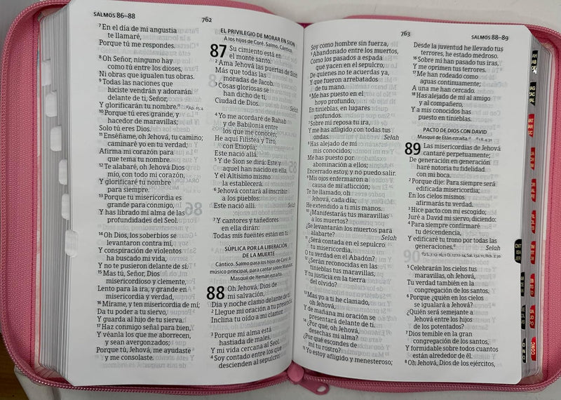 Biblia Letra Grande Tamano Manual Acuarela con Cierre e Indice- RVR 1960