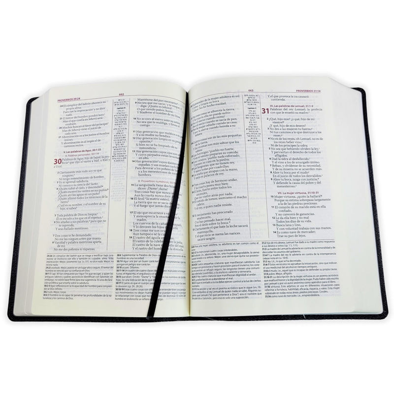 Biblia de estudio Ryrie, ampliada dúo tono negro - RVR 1960