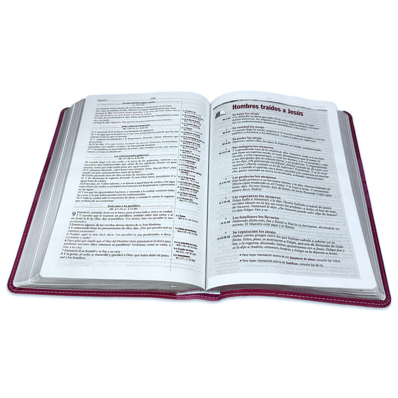 Santa Biblia Thompson rosada edición especial para estudio - RVR 1960