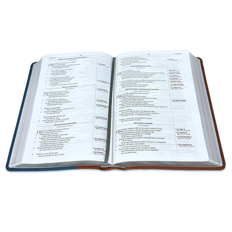 Santa Biblia Thompson azul/marrón edición especial para estudio - RVR 1960
