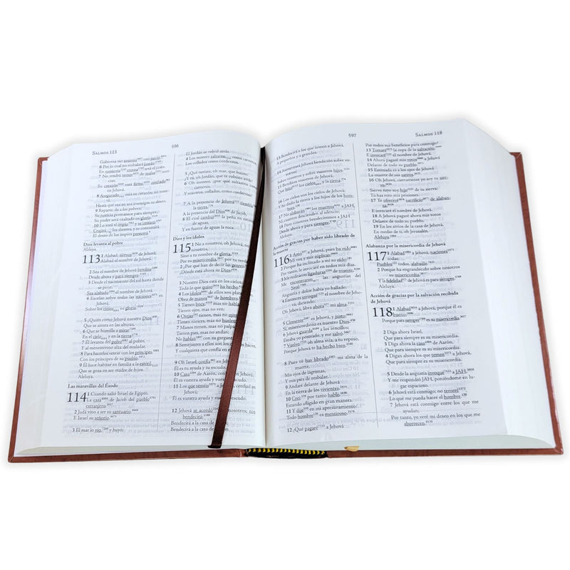 Biblia de estudio palabra clave, con diccionarios Hebreo y Griego - RVR 1960