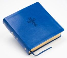 Biblia QR principios para vivir, azul - NTV