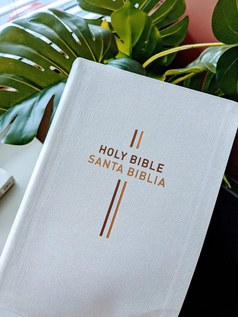 Biblia Bilingue - NLT/NTV