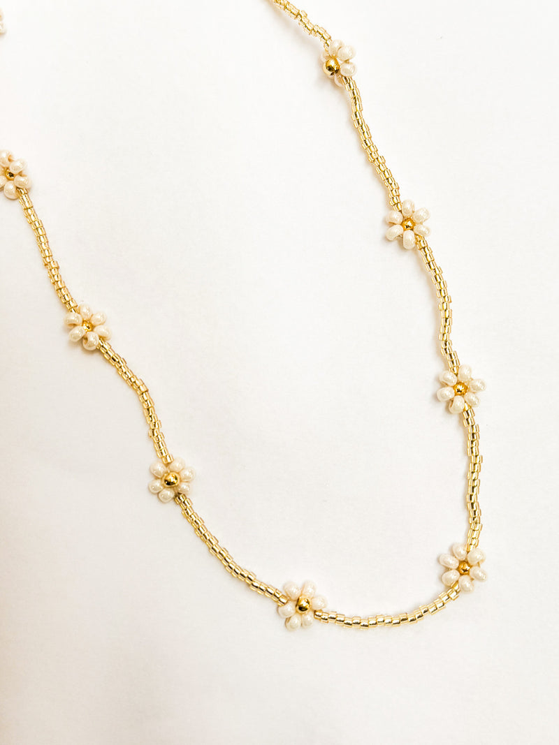 Collar mini margaritas