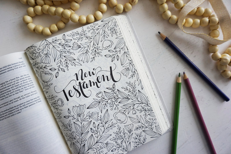 The message canvas Bible - Eugene H. Peterson