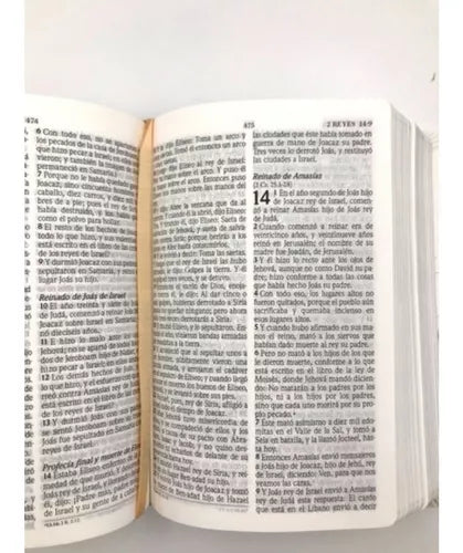 Biblia  de promesas compacta, piel especial negro - RVR 1960