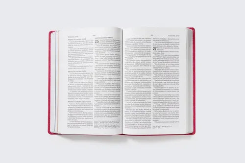 Biblia de la Mamá Ocupada, RVR 1960