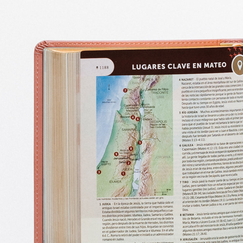 Biblia de estudio del Diario Vivir para jóvenes, sentipiel rosa - NTV